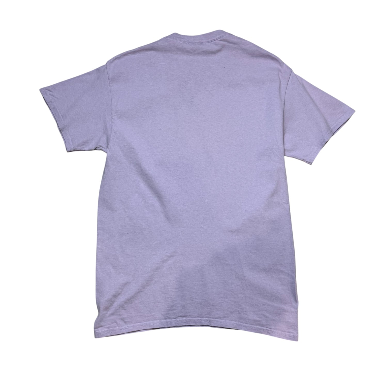 Thrasher Pink Logo T-Shirt